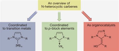 n-heterocyclic|n heterocyclic carbene review.